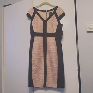 Jax pink black sparkle dress 10 NWT